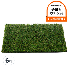 슈브릭 잔디매트 슈케이스 신발케이스 전용 인조잔디, 6개