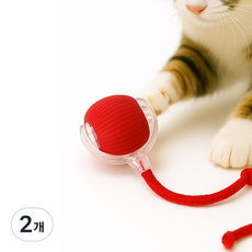 시그무드 강아지 고양이 장난감 스마트 롤링 라인 펫 볼, 2개, 레드(RED)