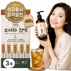 더담온 국산 보리 보리차 진액, 3개, 480g