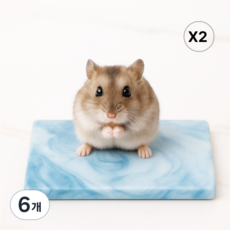 햄스터 마블 쿨매트 소동물 대리석, 6개, 블루