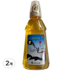 보은농협 속리산 아카시아꿀, 500g, 2개
