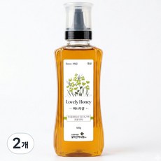 설악산허니팜 자연벌꿀 피나무꿀, 500g, 2개