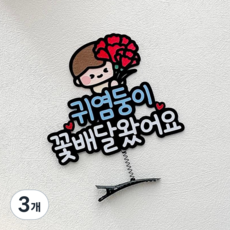 어버이날 스승의날 머리핀 토퍼 선생님 선물 카네이션, 남아, 3개, 꽃배달왔어요