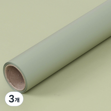 리본리에 꽃 포장지 꽃다발 포장 플로드 1, 26.상아색, 3개