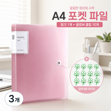 파일 아코디언파일 폴더 포켓파일 도큐먼트파일 화일 서류정리파일 봉투화일 포켓화일 a4 포켓파일 자료 정리 파일 a4 서류보관파일 학습지 정리 파일 학습지 파일 용지 보관 파일 a4, 3개, 반투명 파우더 30쪽 3개, 반투명 파우더 30쪽