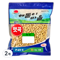 하조대농협 국산 백태 메주콩 노란콩, 500g, 2개