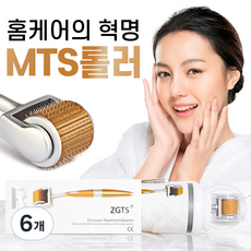 MTS 더마롤러 프리미엄 티타늄 ZGTS 페이스롤러 홈케어, 06_프리미엄티타늄1.00mm, 6개