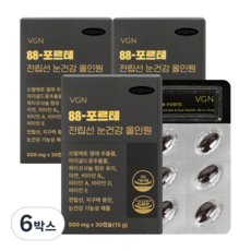 [웰스앤헬스] 비제닉스 88-포르테 전립선 눈건강 올인원 쏘팔메토 옥타코사놀 루테인 전립선 남성영양제, 6박스, 30정