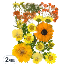 압화 책갈피 DIY 책갈피 드라이플라워 북마크, 2세트, 드라이플라워 옐로 계열