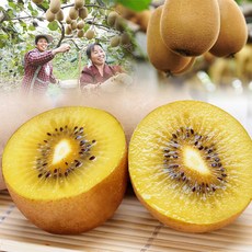 오병이어농산 [오병이어농산] 전라도골드키위, 35과내외(중대과), 1개