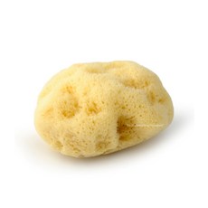 로젠필드 천연해면스폰지, 10~11cm, 1개