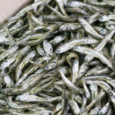 마린보이푸드 중멸치, 1kg, 1개