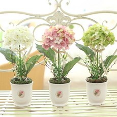 예지플라워 달콤수국 조화토피어리, 핑크, 1개