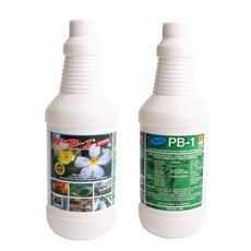 파이씨스 PB-1 다용도 초강력 세정제, 1000ml, 1개, 1L