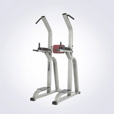 STEELREX 클럽 치닝디핑 SRF-317