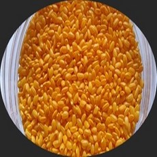 황금 강황쌀 강황 쌀 울금 붉은쌀 홍쌀 기타쌀, 1개, 800g