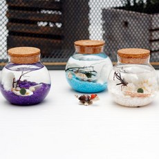 아침향기 반려식물 애완식물 마리모세트 마리모, A형 코르크 유리용기 마리모세트, 연두자갈세트, 1개