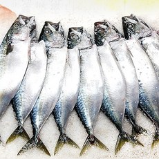 새우몰 국산 간고등어(소) 12마리 1%저염 제철 참고등어, 1개, 1.8kg내외(12미)