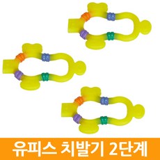 유피스 치아발육기, 2단계 3개