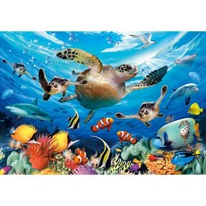 PL1275 (바다거북의 여행), 1개