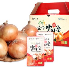 정도원 산청애 순수 양파즙, 100ml, 100개