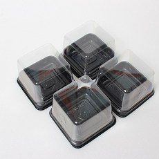 화과자케이스/사각, 검정, 5개