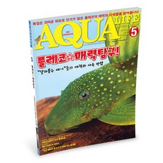월간 아쿠아라이프 2016년 5월호, 1개