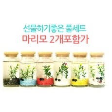 365귀여운 애완식물 마리모, 바닥재 노란색, 1개