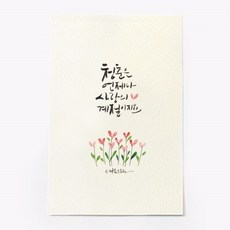 앳원스 캘리그라피 청춘엽서 무지엽서 편지지 봉투, 청춘은 언제나, 1매