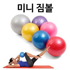 미리내 미니짐볼(블루)20cm(손펌프O)