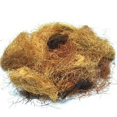 [장명식품] 옥수수 수염 옥발 옥미수, 100g, 1개