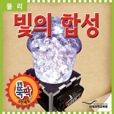 실험뚝딱 광섬유 오뚝이 5인세트 과학상자