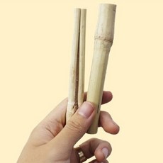 도치퀸 사탕수수 스틱 낱개 2P 햄스터 이갈이용, 1개