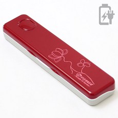 닥터크리너 휴대용 칫솔살균기 BIO-301, 패턴와인, BIO-301(건전지&USB겸용타입)-