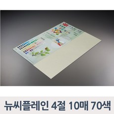 종이문화 뉴씨플레인 120g 4절 70색, 70_피색