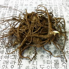 국내산 생당귀 600g, 1개