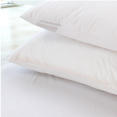 프로마이트 위생 베개커버 방수 진드기차단