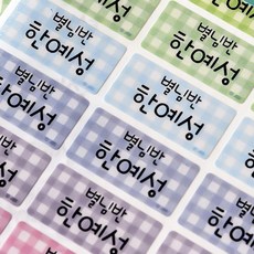 미르네임 1+1 방수 네임스티커 사각(가로형) 중형, 체크9색펄 심플 중형, 1set