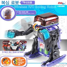 No300/복싱로봇 무선조정/과학실습교재/리모컨작동, 1개