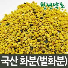 천년약초 국내산 벌화분 250g, 1개