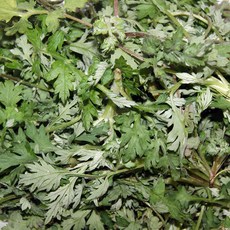 오병이어농산 자연산 쑥, 쑥 500g