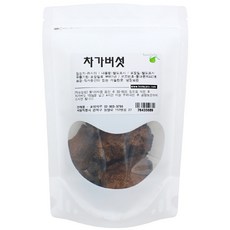 호미자루 차가버섯 500g, 1개