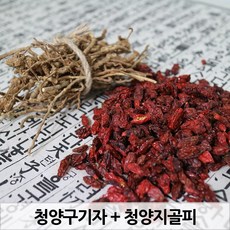 청양구기자 건구기자 지골피(구기자뿌리) 구기자순 구기자, 1개, 청양구기자(300g)