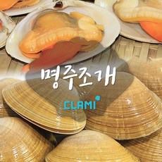 클래미 명주조개 갈미조개, 1개, 1kg