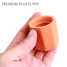 수아쿠아 팔각토분, 1개