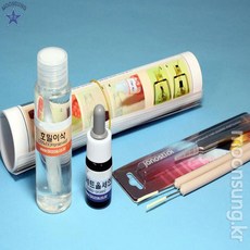 감수분열 관찰세트