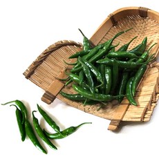 맛있게 매운 청양고추, 청양고추(상) 1kg, 1개