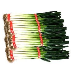 국내산 손질 대파 1단(2kg내외), 1kg 내외, 1개