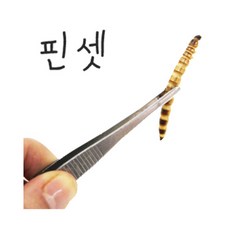 [도치퀸] 핀셋 약12.5cm, 1개