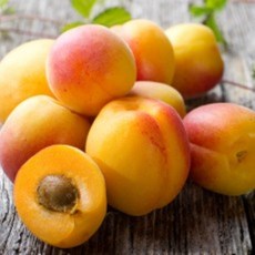 [허니솝] 천연 베이스오일(캐리어오일) 버터 비누만들기재료 화장품만들기재료, C19. 살구씨오일 100ml, 1개